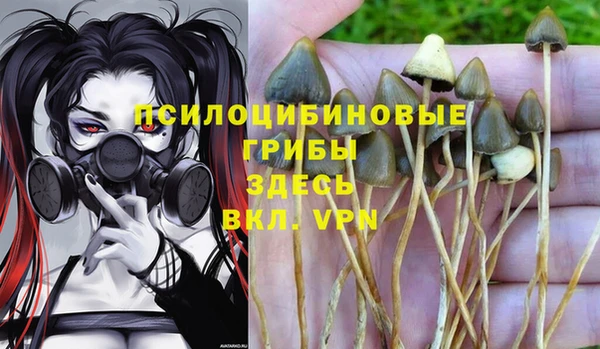 apvp Наволоки
