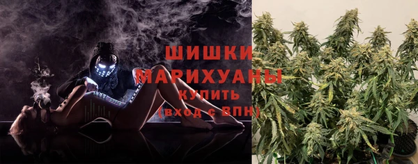 дмт Надым