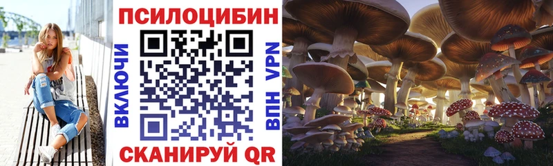 Галлюциногенные грибы MAGIC MUSHROOMS закладка Хабаровск