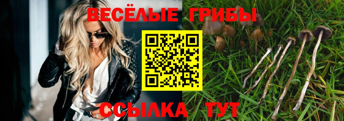Хабаровск  Псилоцибиновые грибы GOLDEN TEACHER  Галлюциногенные грибы Psilocybine cubensis  Вход с VPN 